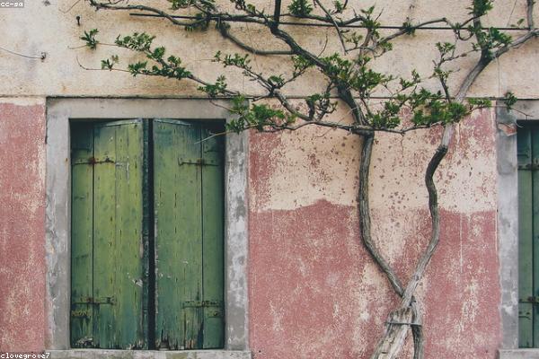 Roller Shutters